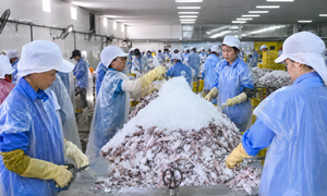 Hà Tĩnh tạo lực đẩy cho sản phẩm công nghiệp nông thôn