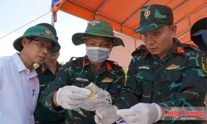 Quảng Ngãi thành lập thêm 4 đội lấy mẫu sinh phẩm hài cốt liệt sĩ
