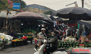 Ban Quản lý chợ đầu mối phía Nam khẳng định không thu phí vào chợ