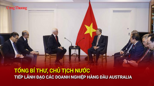 Tổng Bí thư, Chủ tịch nước tiếp lãnh đạo các doanh nghiệp hàng đầu Australia