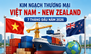 Infographic | Nhập khẩu hàng hóa từ New Zealand đạt 527,3 triệu USD