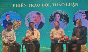 Đề xuất khung tiêu chí thúc đẩy thương mại điện tử xanh