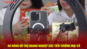 Đà Nẵng hỗ trợ doanh nghiệp xúc tiến thương mại số