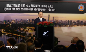 Tổng Bí thư, Chủ tịch nước dự Hội nghị bàn tròn doanh nghiệp New Zealand-Việt Nam