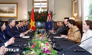 New Zealand tiếp tục là đối tác quan trọng đồng hành cùng Việt Nam