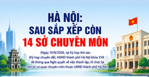 Infographic | Hà Nội: Sau sắp xếp còn 14 sở chuyên môn