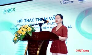 Tham vấn mô hình Quỹ thúc đẩy sử dụng năng lượng tiết kiệm và hiệu quả