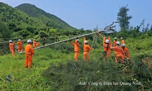 Công ty Điện lực Quảng Ninh sẵn sàng ứng phó sự cố lưới điện mùa mưa bão