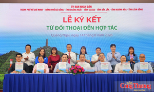 Quảng Ngãi thúc đẩy liên kết vùng, nâng giá trị sản phẩm OCOP