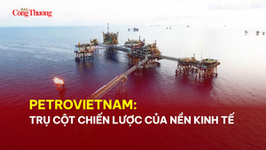 Petrovietnam: Khẳng định 'sếu đầu đàn' dẫn dắt dòng vốn FDI