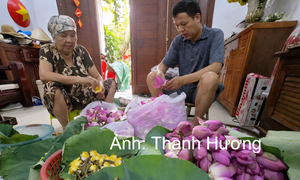 Nâng cao giá trị kinh tế trà sen Tây Hồ từ du lịch trải nghiệm
