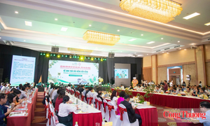 Sầu riêng trước yêu cầu nâng tầm giá trị xuất khẩu