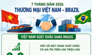 Infographic | Kim ngạch thương mại Việt Nam - Brazil đạt 5,5 tỷ USD