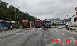 Cập nhật tin xuất nhập khẩu qua các cửa khẩu Lạng Sơn ngày 16/8/2026