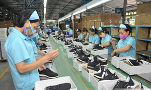 FTA Index 2025: Thước đo hiệu quả công tác hội nhập