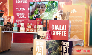 Gia Lai sẽ có trung tâm trưng bày cà phê chất lượng cao 287 tỷ đồng
