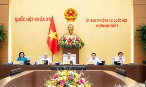 Kiện toàn hệ thống cơ quan điều tra tinh, gọn, chuyên nghiệp