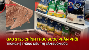 Gạo ST25 chính thức được phân phối trong hệ thống siêu thị bán buôn Đức