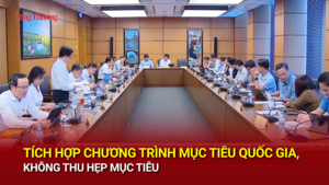 Tích hợp chương trình mục tiêu quốc gia, không thu hẹp mục tiêu