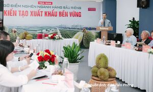 Sầu riêng trước yêu cầu chuyển từ 'lượng' sang 'chất'