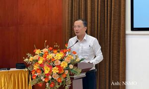 NSMO - EVNHCMC 'bắt tay' vận hành hệ thống điện tại TP. Hồ Chí Minh