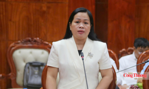 Xúc tiến thương mại Đồng Tháp: Từ kết nối cung cầu đến mở rộng thị trường