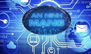 Chính phủ ban hành 3 nghị định về an ninh mạng