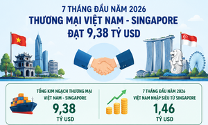 Infographic | Việt Nam nhập siêu từ Singapore với giá trị 1,46 tỷ USD 