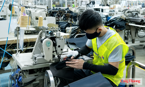 Nghị quyết số 10-NQ/TW: Nâng tầm chất lượng dòng vốn FDI