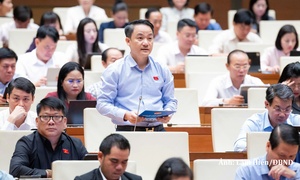 Đại biểu đề xuất truy được dấu vết trách nhiệm trong dữ liệu đất đai