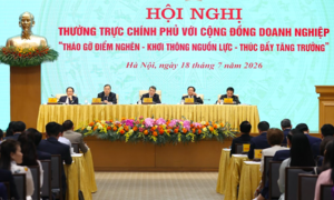 Thủ tướng chỉ đạo giải quyết dứt điểm, thiết thực, hiệu quả các khó khăn, vướng mắc của doanh nghiệp