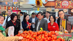 Lâm Đồng triển lãm sản phẩm đặc trưng, kết nối với các nhà phân phối lớn