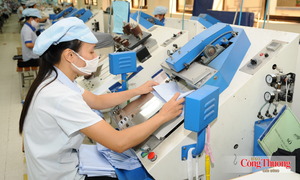 Doanh nghiệp Việt vượt rào cản kỹ thuật, chinh phục sâu thị trường EU