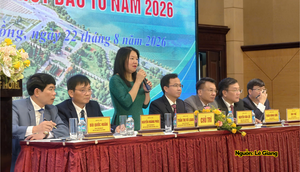 Tỉnh Lâm Đồng: Các phường, xã 'hợp sức' gọi vốn đầu tư