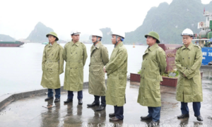 Bộ Công Thương kiểm tra công tác phòng, chống thiên tai tại TKV