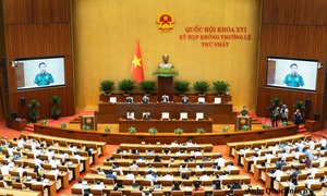 Quốc hội thông qua 2 Luật về quân sự, quốc phòng