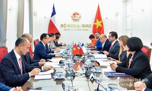 Việt Nam - Chile mở rộng hợp tác trên lĩnh vực chuyển đổi xanh, kinh tế số