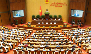 Giữ nguyên phạm vi trách nhiệm bồi thường của nhà nước trong lĩnh vực quản lý thuế