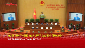 Quốc hội thông qua Luật Dầu khí (sửa đổi) với số phiếu tán thành rất cao