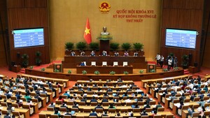 Chính thức giảm 30% thuế thu nhập cho cá nhân, hộ kinh doanh, doanh nghiệp