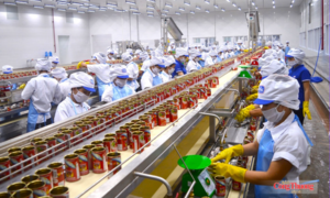 Nghệ An: Công nghiệp, thương mai tiếp tục tăng trưởng khá trong tháng 8
