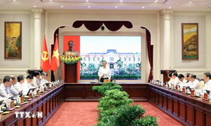 Tổng Bí thư, Chủ tịch nước Tô Lâm: Nhân tài là nguồn lực chiến lược đặc biệt của quốc gia