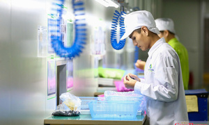 Ngành điện tử tăng tốc, bước vào mùa cao điểm