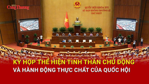 Kỳ họp thể hiện tinh thần chủ động và hành động thực chất của Quốc hội