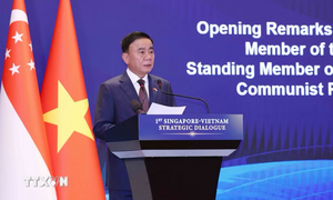 Việt Nam - Singapore hướng đến tương lai chung tự cường