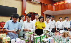 Quảng Trị nâng tầm OCOP, mở rộng thị trường từ đặc sản địa phương