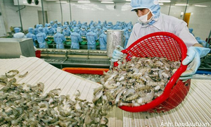 Thủy sản Việt Nam đón thêm cơ hội tại thị trường Na Uy 