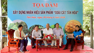 Cần Thơ: Xoài cát Tân Hòa hướng tới xây dựng thương hiệu, mở rộng thị trường
