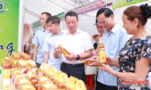 Hà Tĩnh khẳng định vị thế sản phẩm công nghiệp nông thôn tiêu biểu
