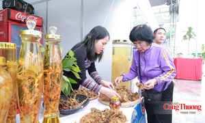 Doanh nghiệp sâm Ngọc Linh thu về hơn 600 triệu đồng tại hội chợ miền Trung - Tây Nguyên
